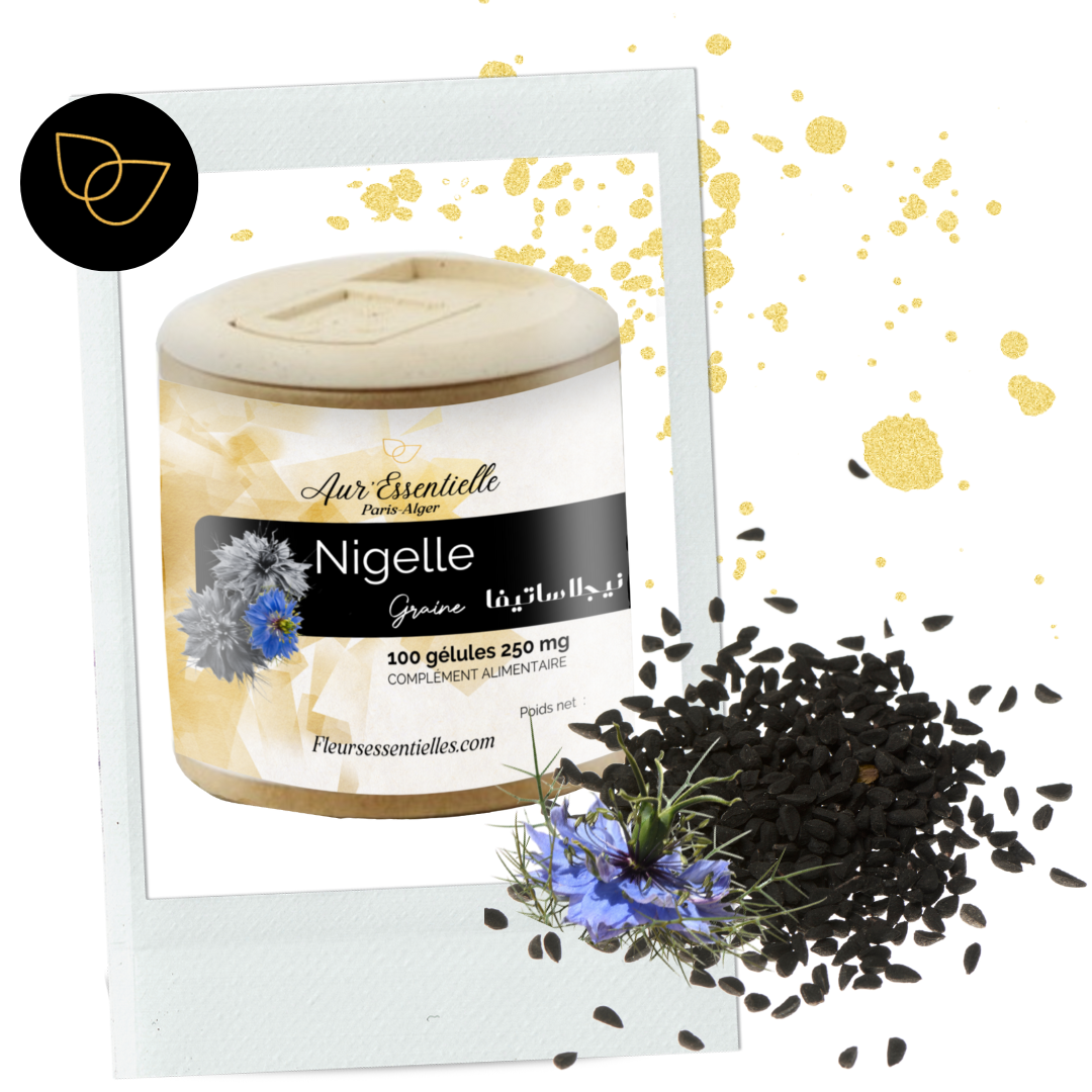 nigelle graine de nigelle remède allergène 