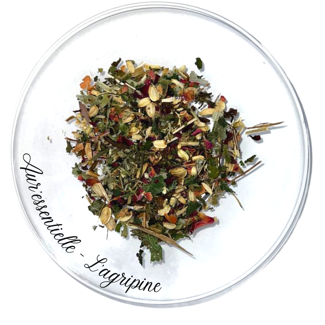 Mélange de plantes de la tisane Agripine d'Aur'essentielle Paris Alger, conçu pour apaiser les règles douloureuses, la ménopause, la préménopause et les bouffées de chaleur. Ingrédients naturels et éthiques made in France.